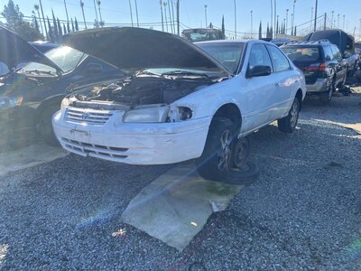 Catalog item SAC045632