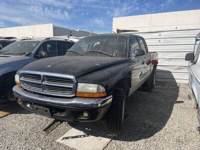 Catalog item POM063532