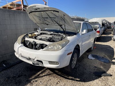 Catalog item POM063258