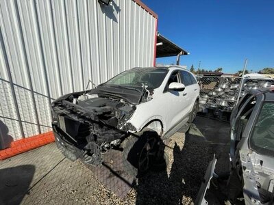 Catalog item POM056423