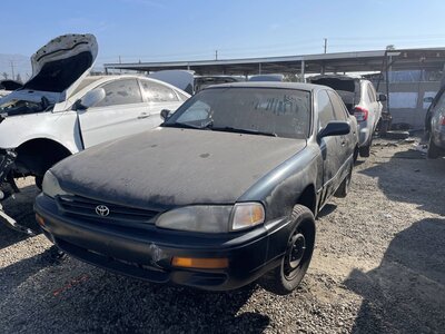 Catalog item POM063256