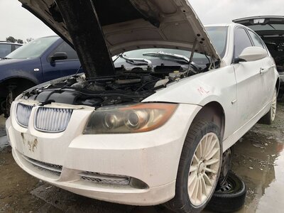 Catalog item FRE110817