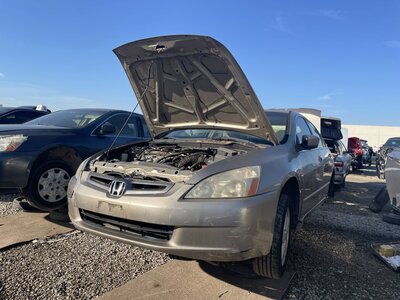 Catalog item POM062760