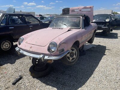 Catalog item POM063898