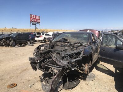 Catalog item FRE113156