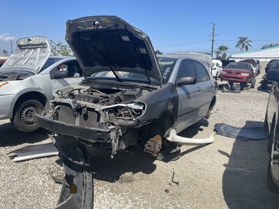 Catalog item POM063847