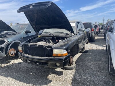 Catalog item POM062888