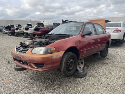 Catalog item POM063675