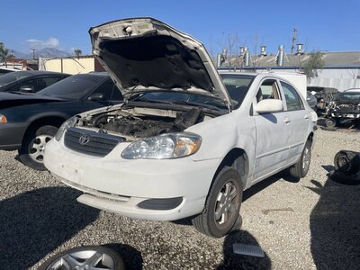 Catalog item POM063091