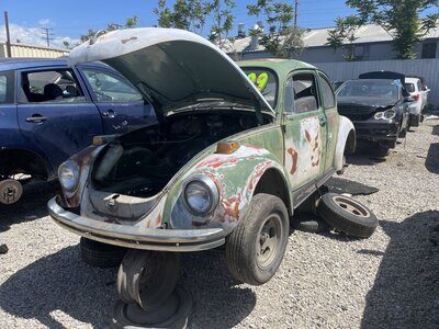 Catalog item POM062600