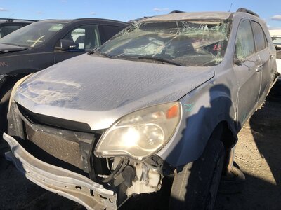 Catalog item FRE109772