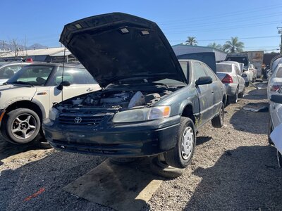 Catalog item POM063278