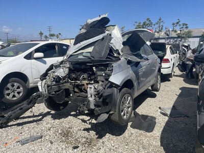 Catalog item POM063601