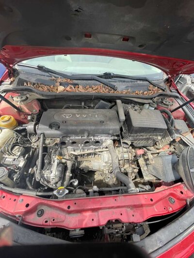 Catalog item POM063671