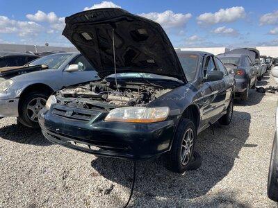 Catalog item POM064022