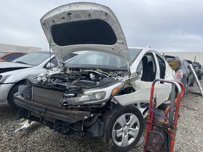 Catalog item POM062557