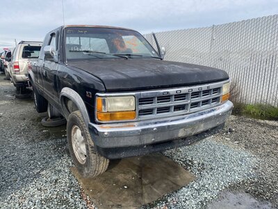 Catalog item SAC046848