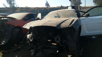 Catalog item FRE088473