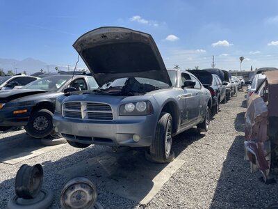 Catalog item POM063970