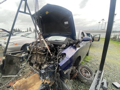 Artículo del catálogo SAC046779