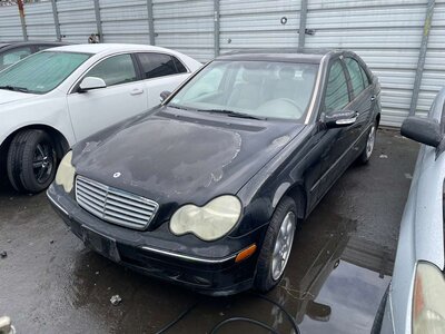 Catalog item POM062676