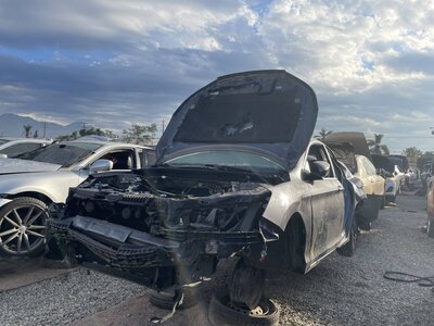 Catalog item POM059609