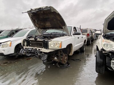 Catalog item SAC046404