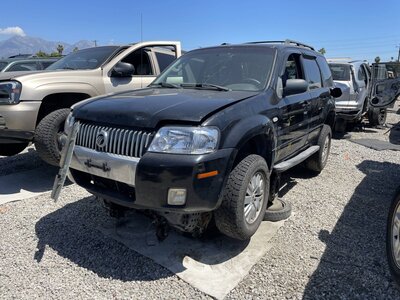 Catalog item POM063935