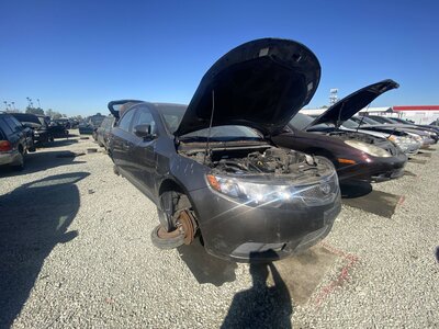 Artículo del catálogo SAC047417