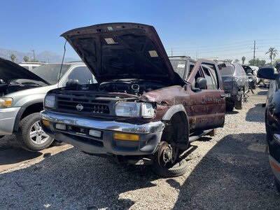 Catalog item POM063262