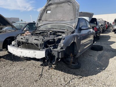 Catalog item POM063371