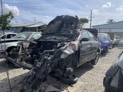 Catalog item POM063975