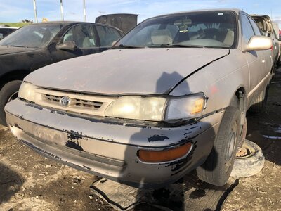 Catalog item FRE111296