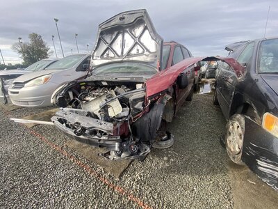 Catalog item SAC045959