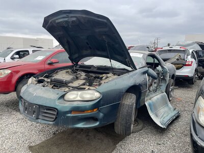 Catalog item POM063566