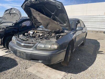 Catalog item POM063592