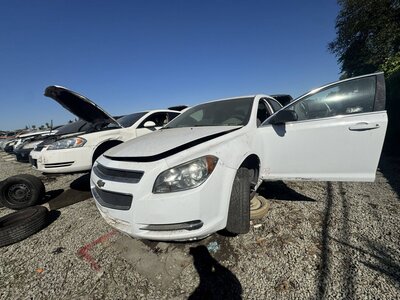 Artículo del catálogo SAC047620