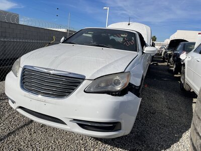 Catalog item POM062836