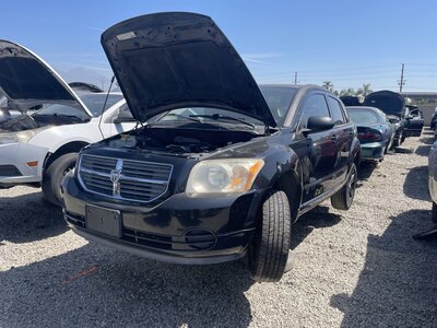 Catalog item POM063729