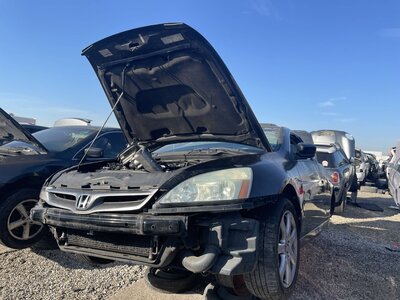 Catalog item POM062744