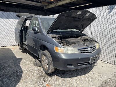 Catalog item POM063358