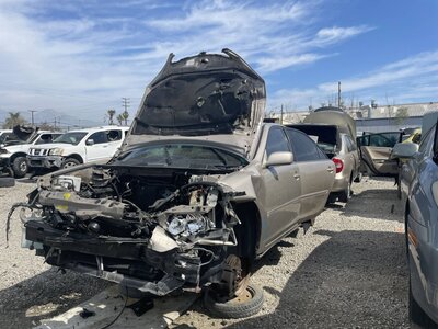 Catalog item POM062949