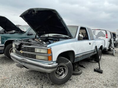 Catalog item POM063527