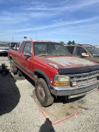 Catalog item SAC047833