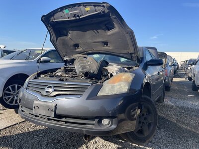 Catalog item POM062817