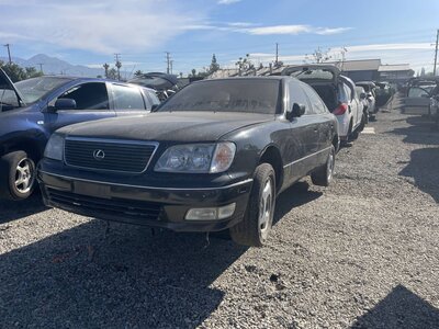 Catalog item POM063546