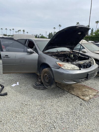 Catalog item SAC048026