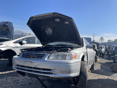 Catalog item POM062696