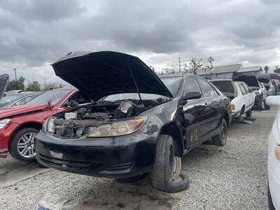 Catalog item POM063643