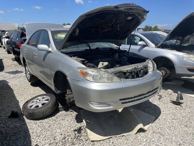 Catalog item POM063936